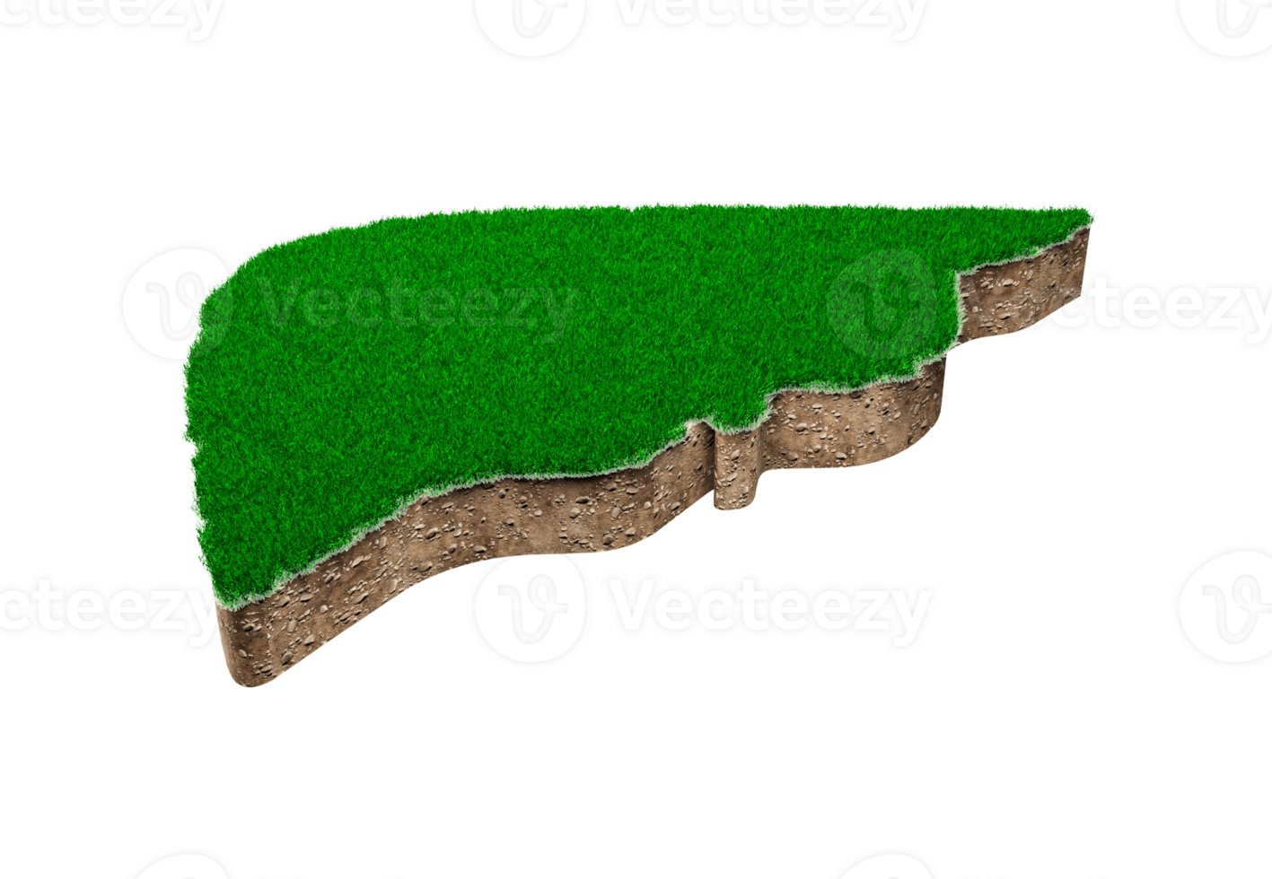 Liver shape made of green grass and Rock ground texture cross section with 3d illustration png