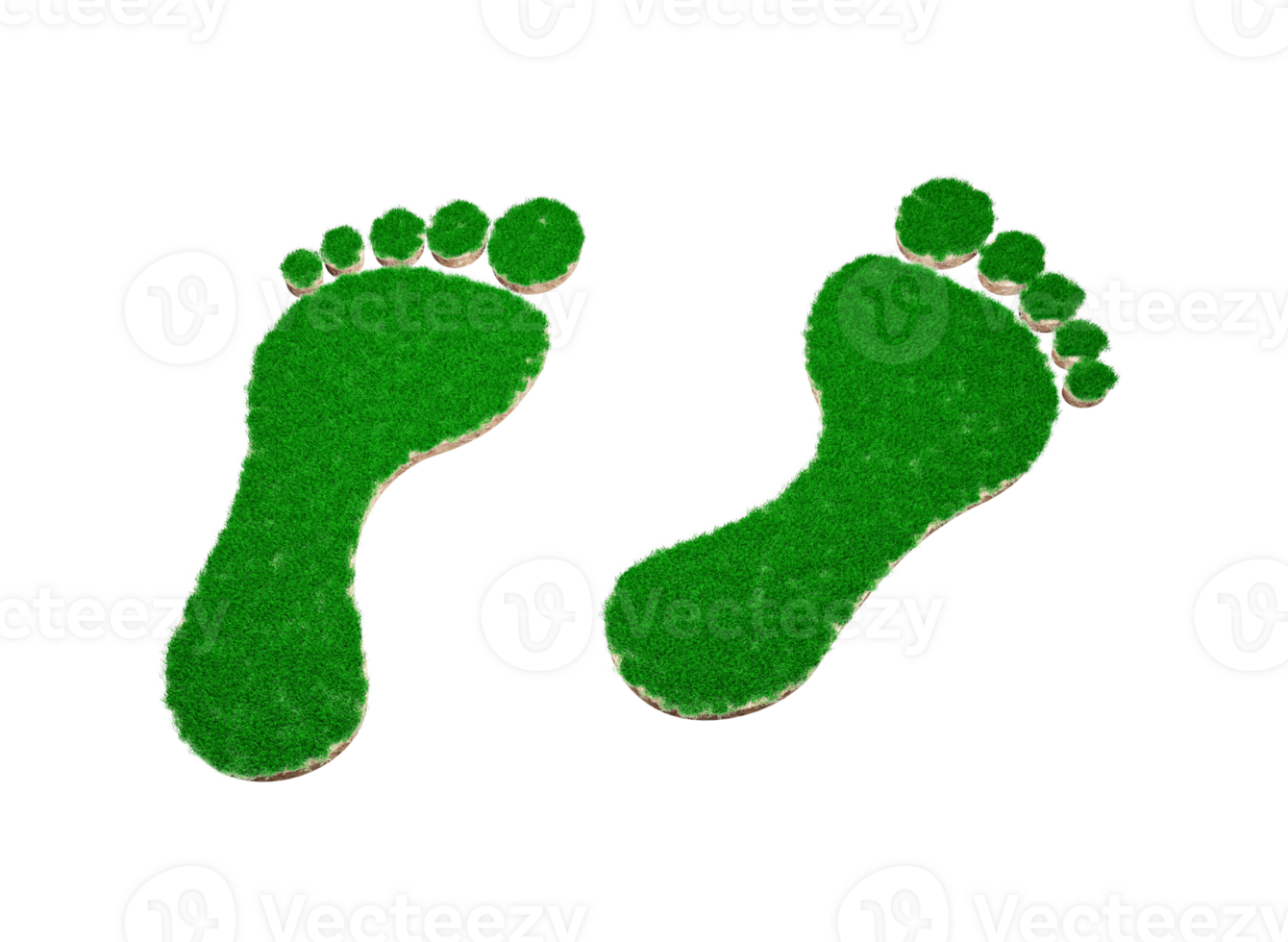 Footprint shape made of green grass and Rock ground texture cross section with 3d illustration png