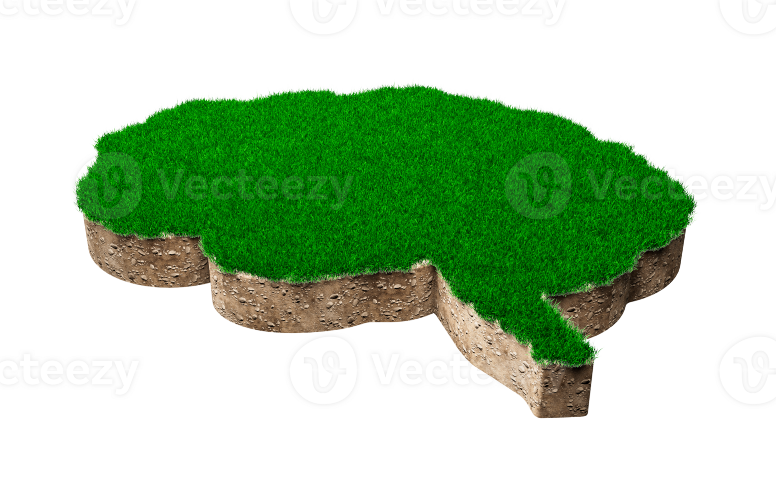 forma de cerebro hecha de hierba verde y sección transversal de textura de suelo de roca con ilustración 3d png