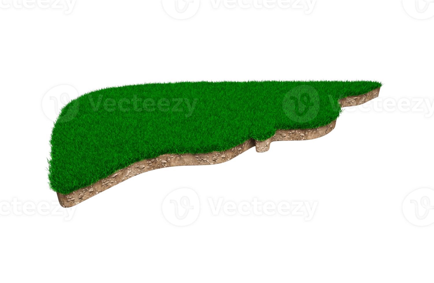 Liver shape made of green grass and Rock ground texture cross section with 3d illustration png