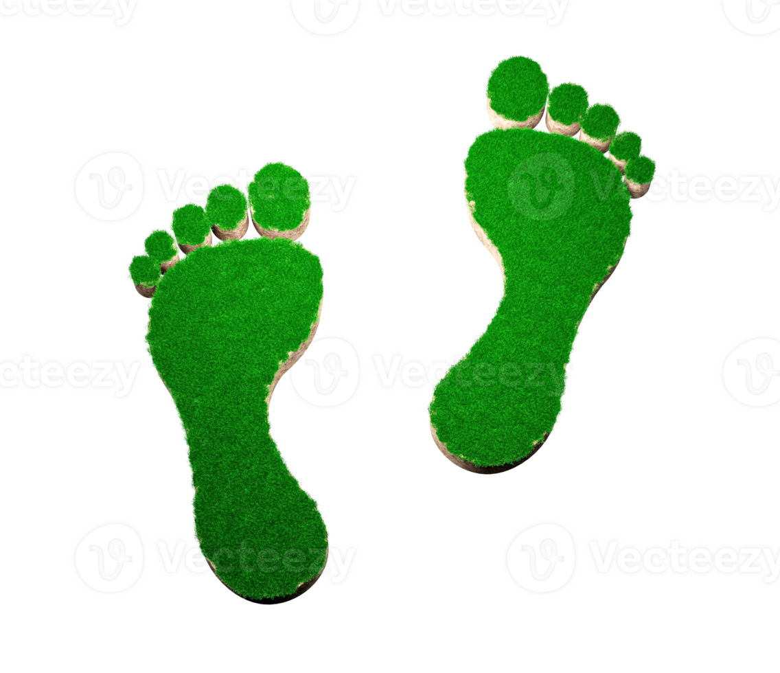 Footprint shape made of green grass and Rock ground texture cross section with 3d illustration png