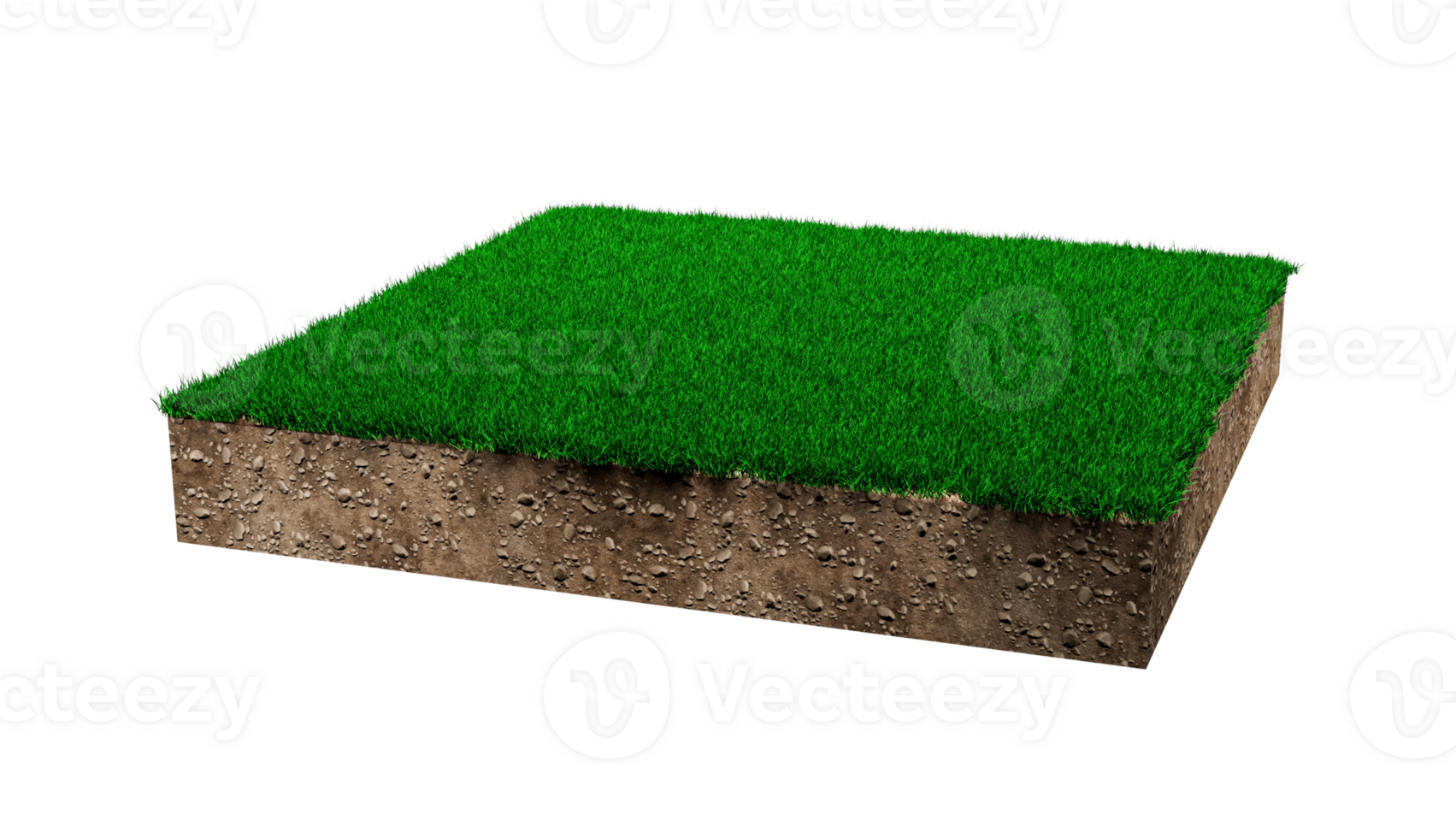 Square of green grass field green grass and Rock ground texture cross section with 3d illustration png