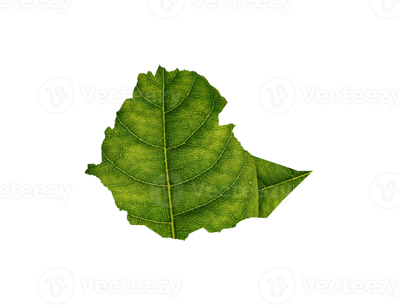 Ethiopia map made of green leaves ecology concept png