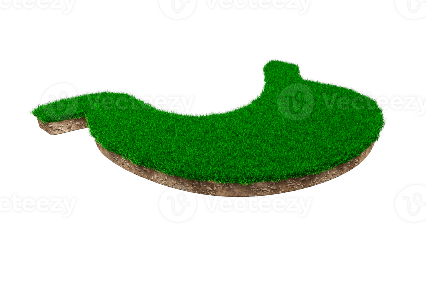Stomach shape made of green grass and Rock ground texture cross section with 3d illustration png