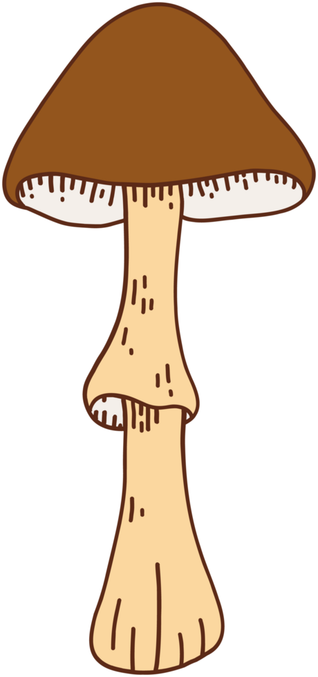 doodle freehand sketch drawing of wild mushroom mushroom. png