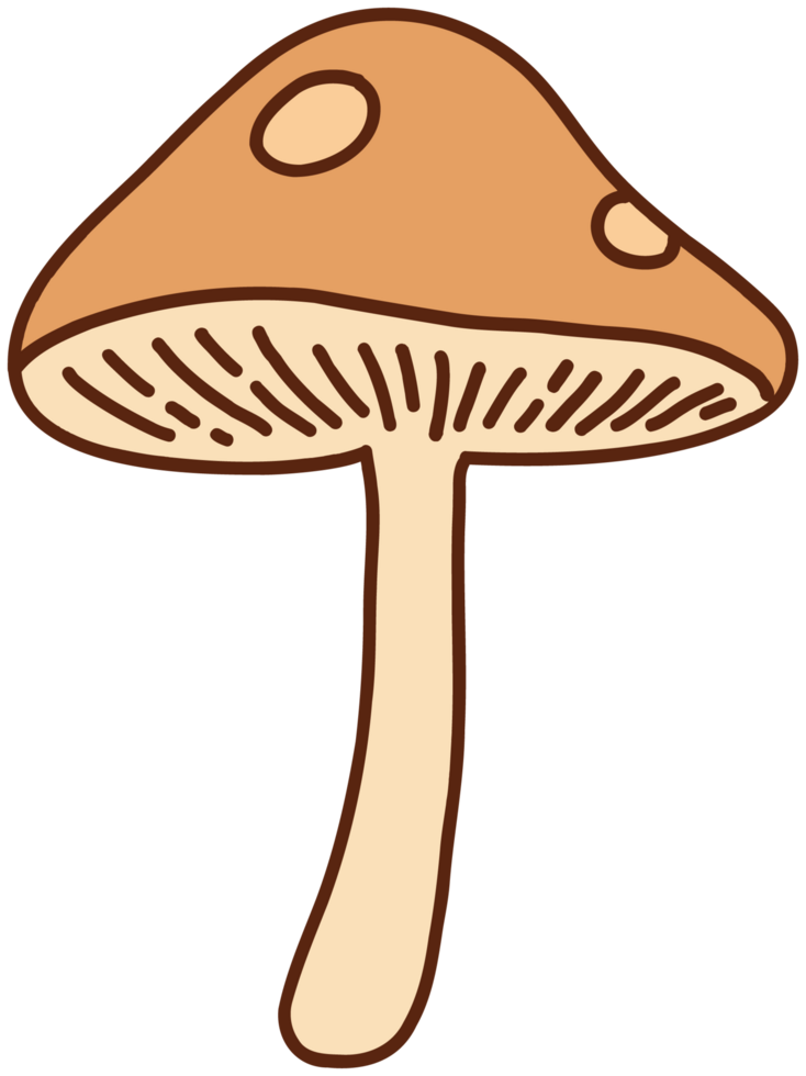 doodle freehand sketch drawing of wild mushroom mushroom. png