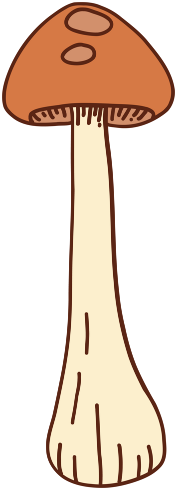 doodle freehand sketch drawing of wild mushroom mushroom. png