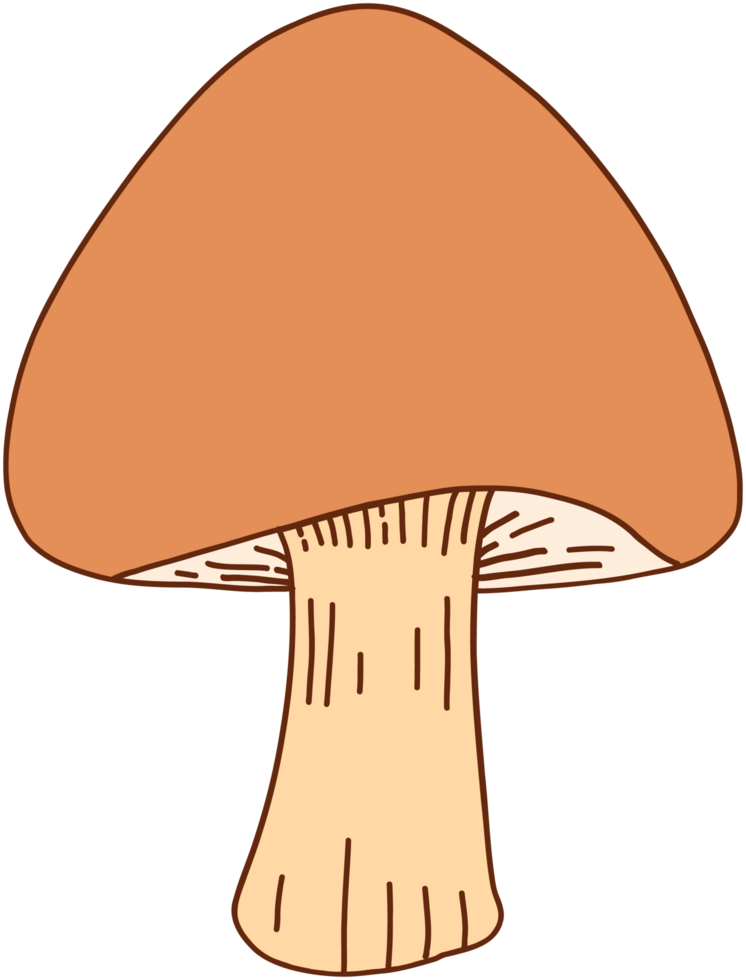 doodle freehand sketch drawing of wild mushroom mushroom. png