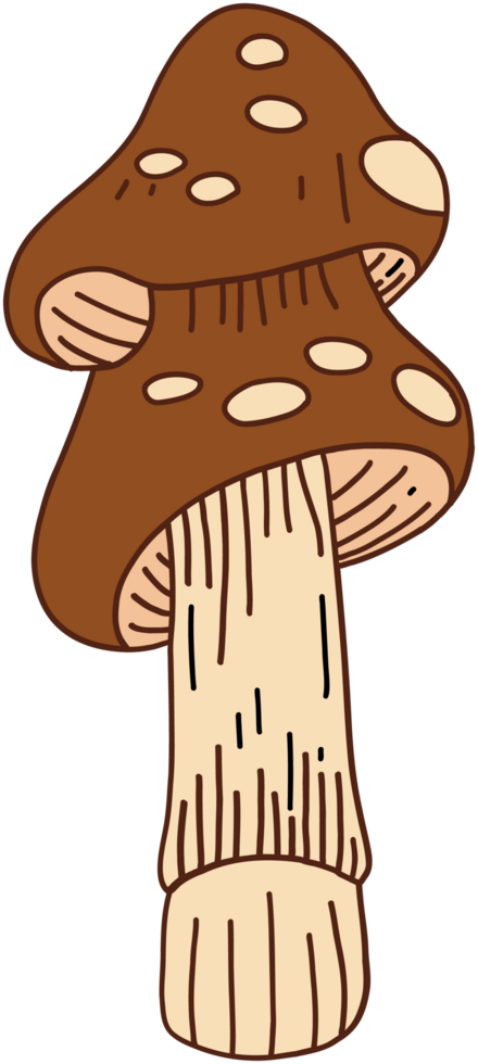 doodle freehand sketch drawing of wild mushroom mushroom. png