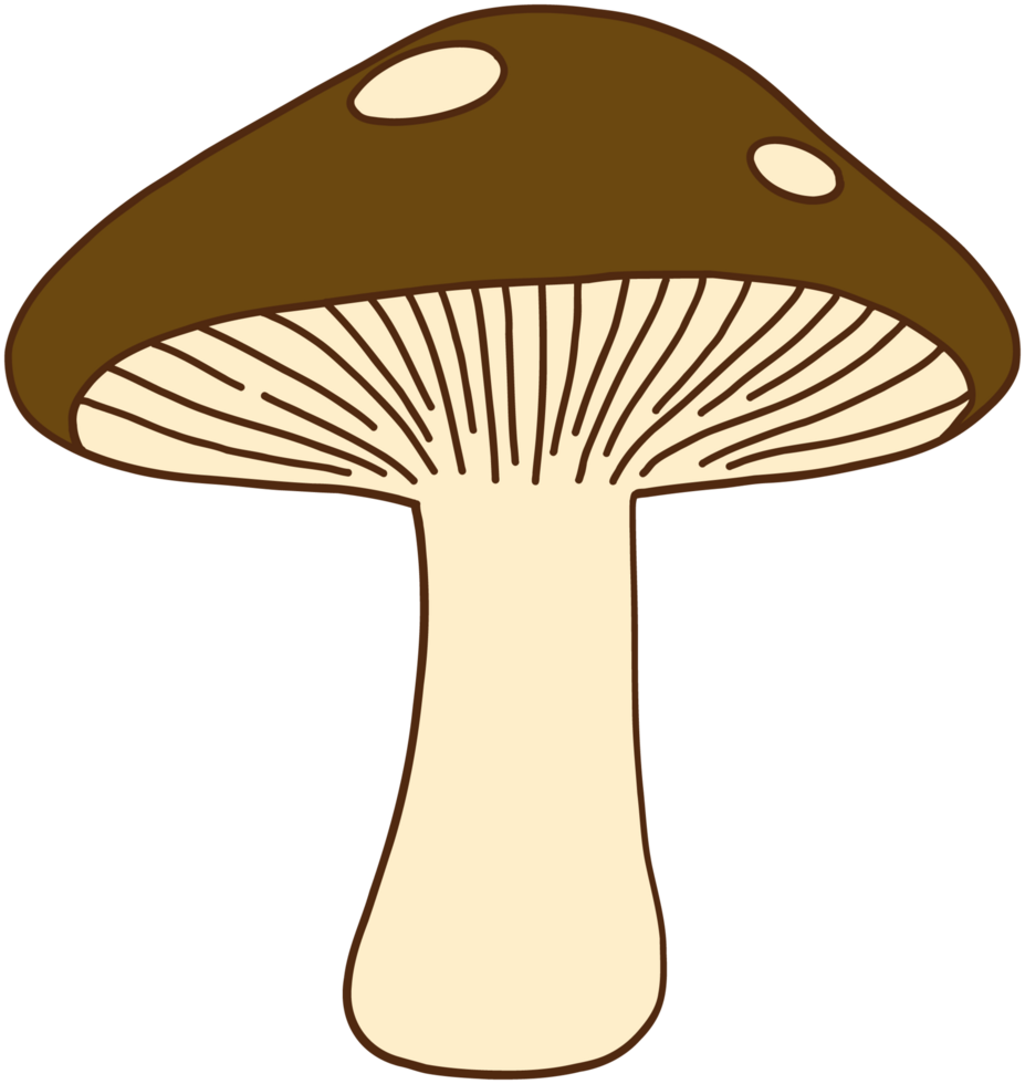doodle freehand sketch drawing of wild mushroom mushroom. png