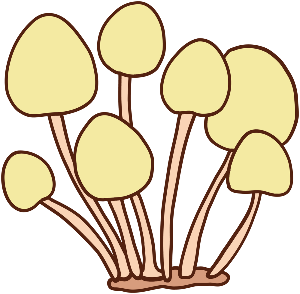 doodle freehand sketch drawing of wild mushroom mushroom. png