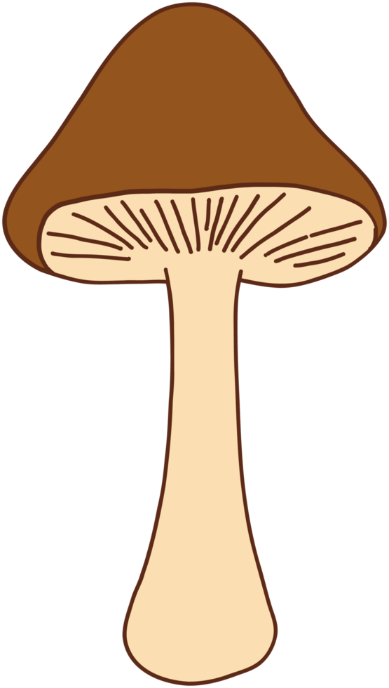 doodle freehand sketch drawing of wild mushroom mushroom. png