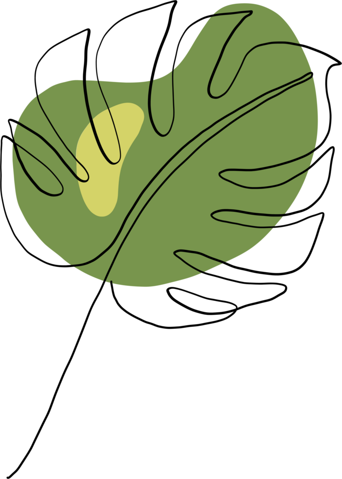 simplicity monstera leaf freehand continuous line drawing png