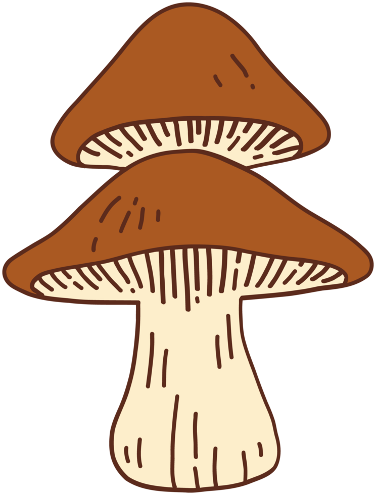 doodle freehand sketch drawing of wild mushroom mushroom. png
