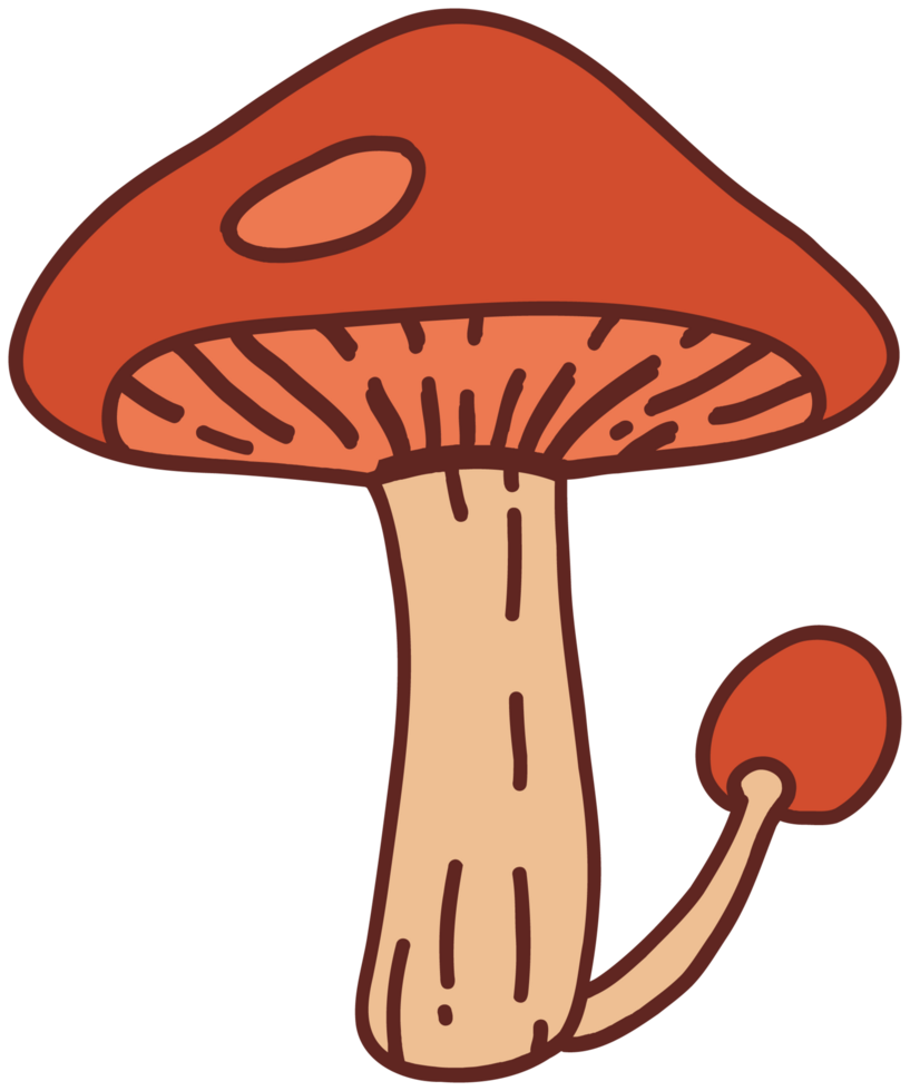 doodle freehand sketch drawing of wild mushroom mushroom. png