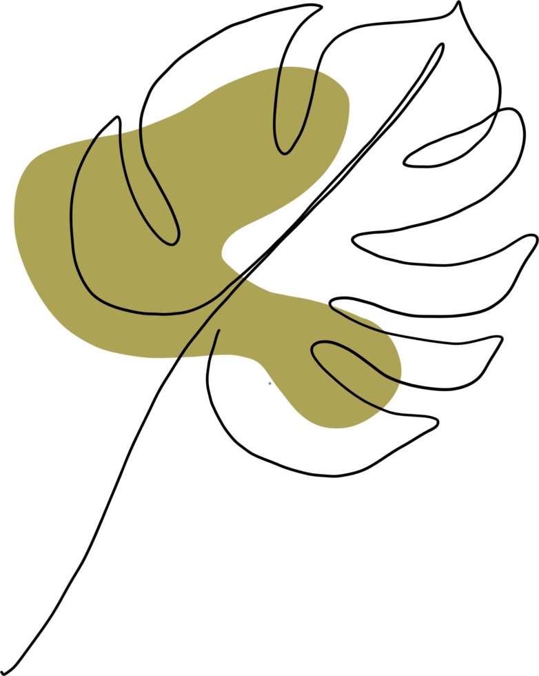 simplicity monstera leaf freehand continuous line drawing png