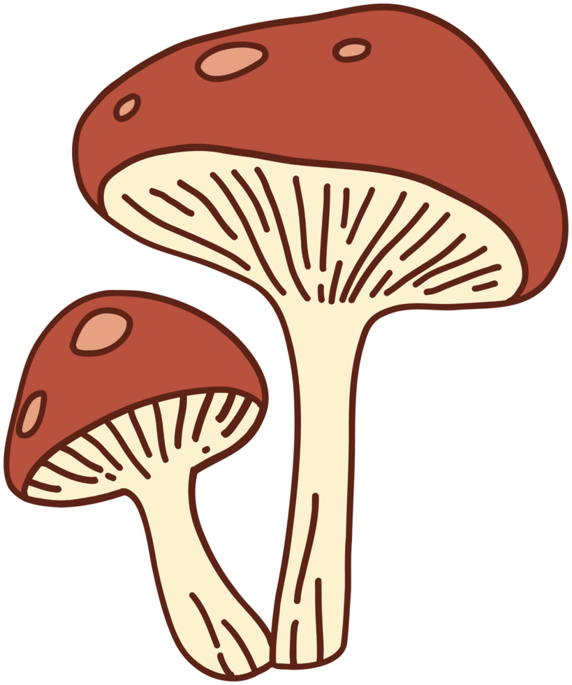 doodle freehand sketch drawing of wild mushroom mushroom. png