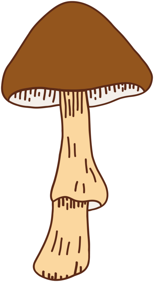 doodle freehand sketch drawing of wild mushroom mushroom. png