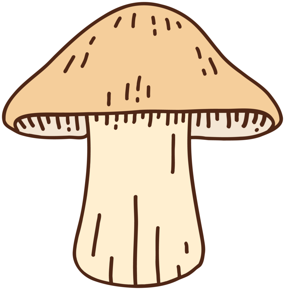doodle freehand sketch drawing of wild mushroom mushroom. png