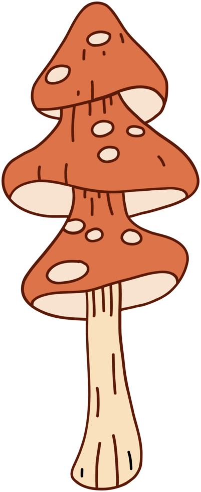 doodle freehand sketch drawing of wild mushroom mushroom. png