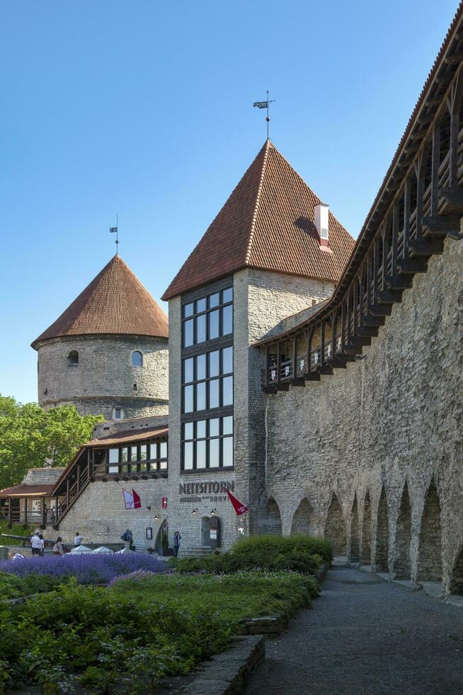 tallin, Estonia - junio 15 2019 - el de doncella torre en Tallin foto