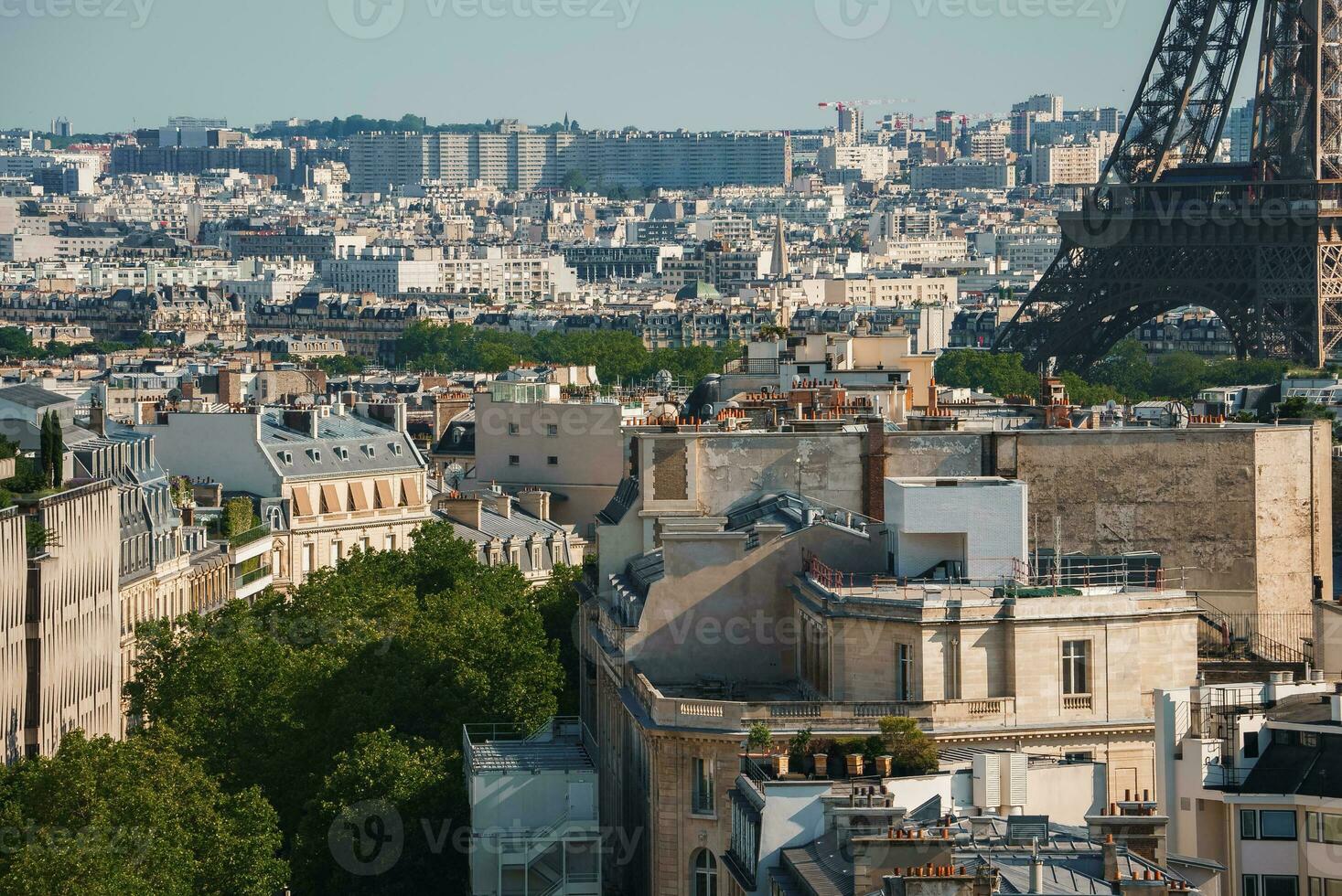Sunny Summer Day View of Eiffel Tower in Paris photo
