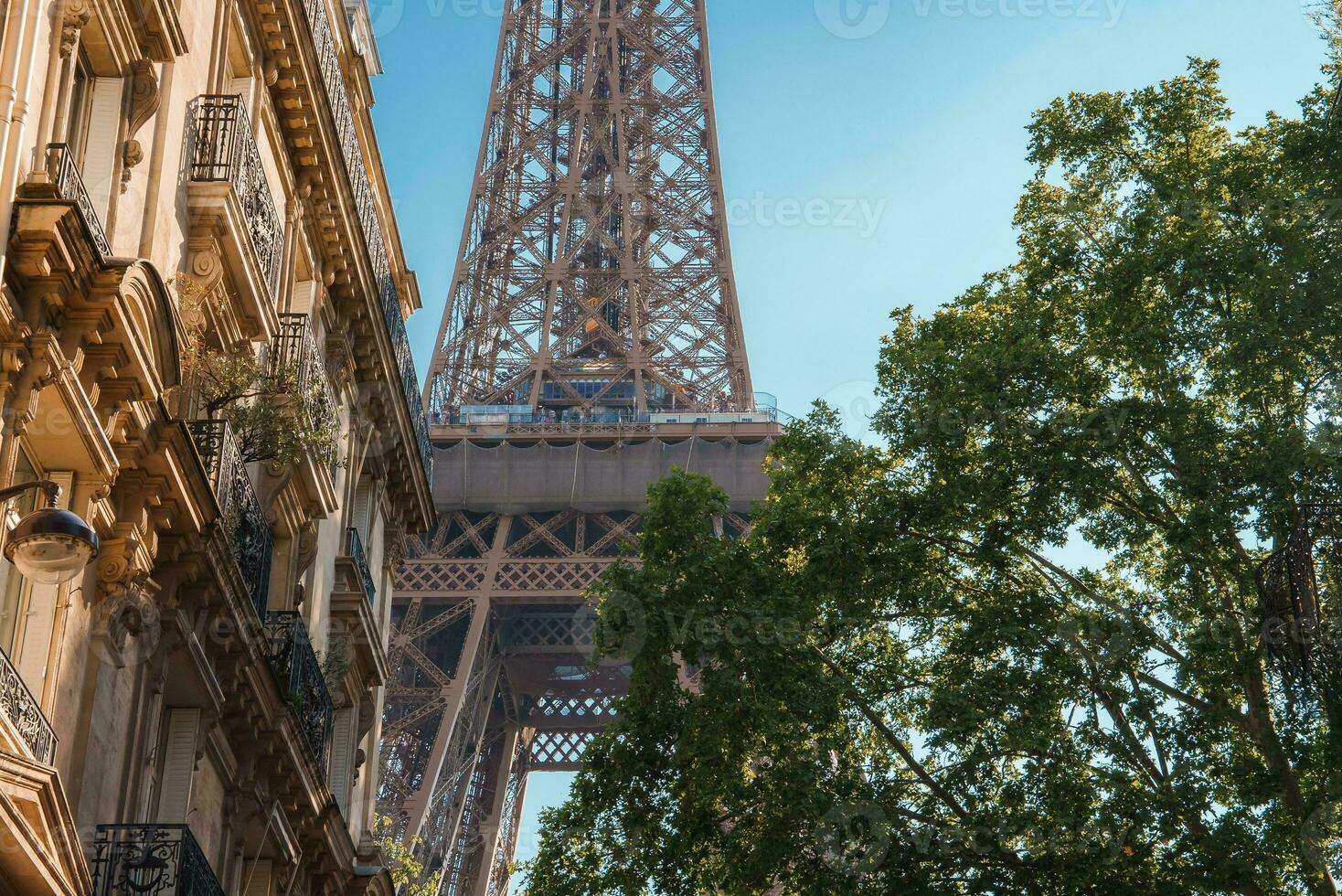 Summer Day in Paris with Eiffel Tower and Bicycle photo