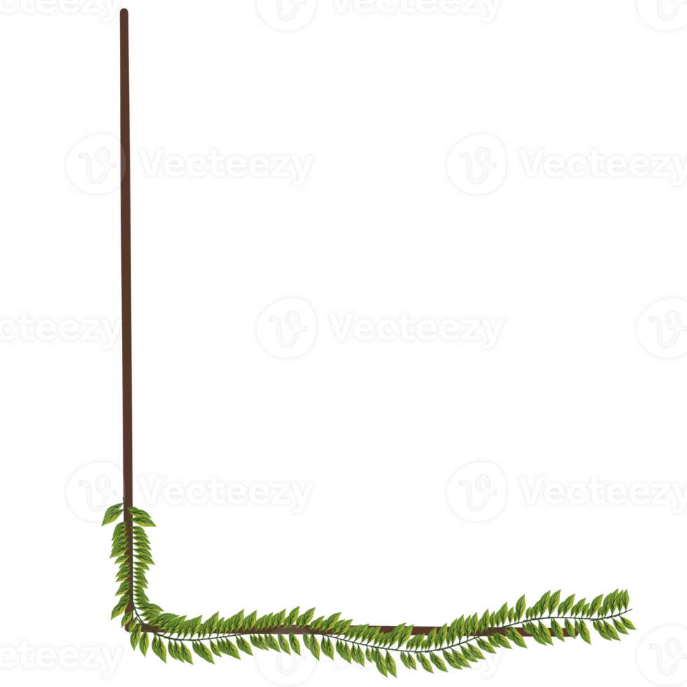 Alphabet a-z wrapped around fern leaves png