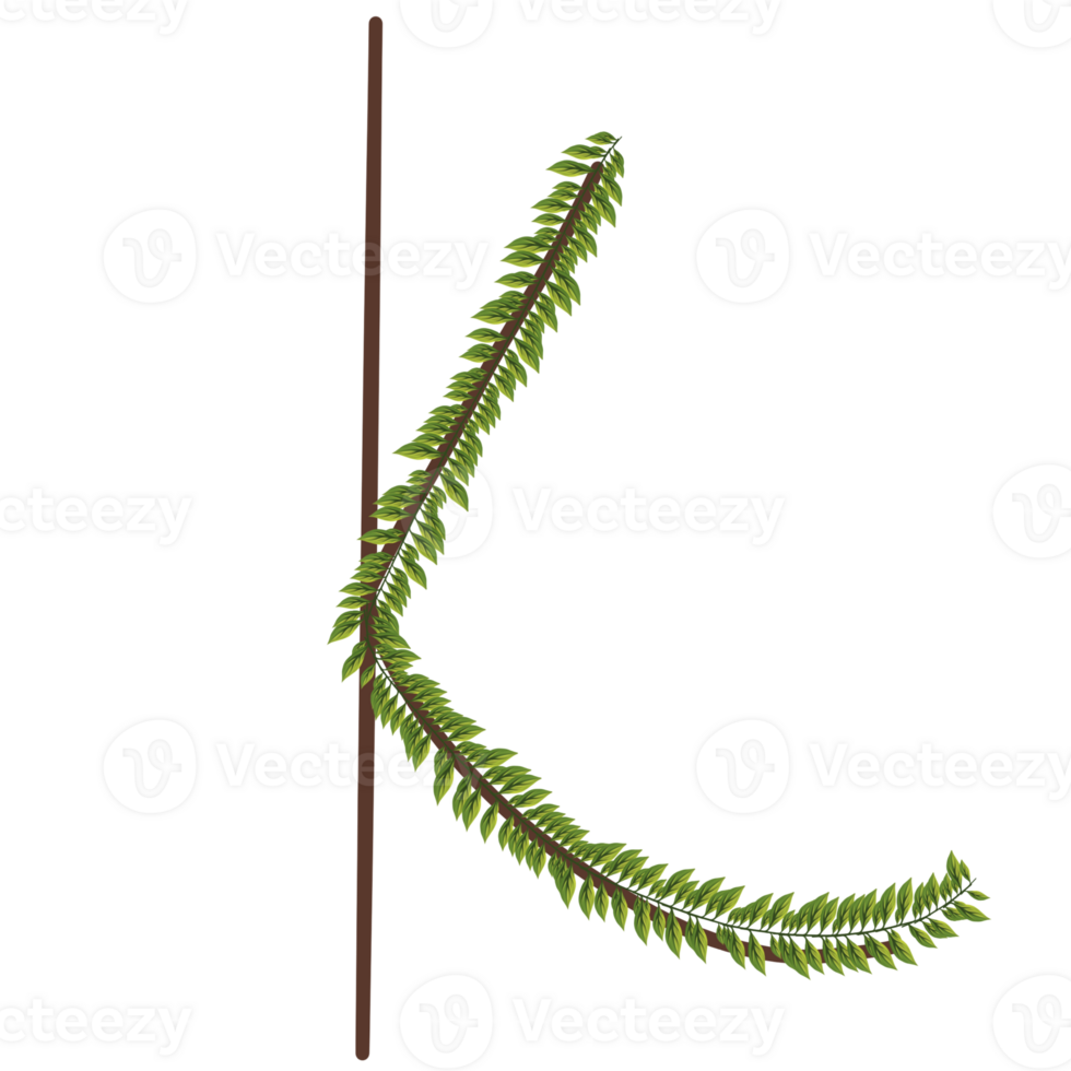 Alphabet a-z wrapped around fern leaves png