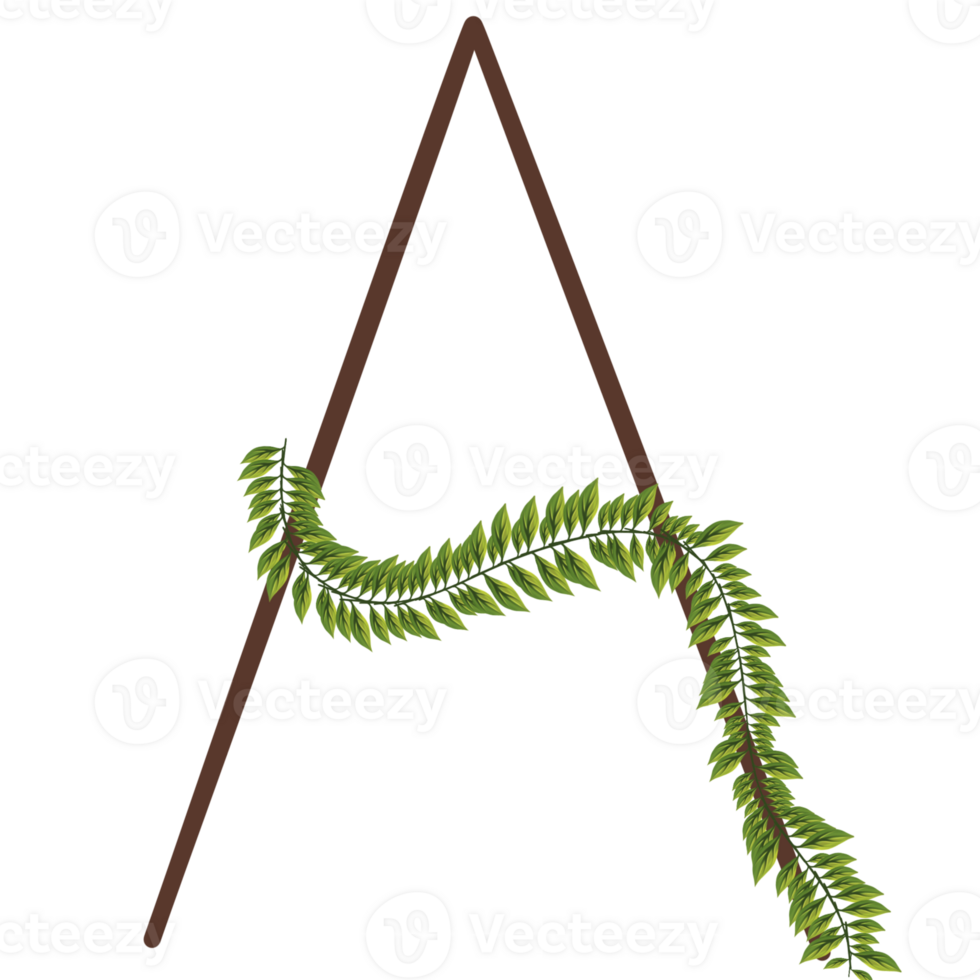 Alphabet a-z wrapped around fern leaves png