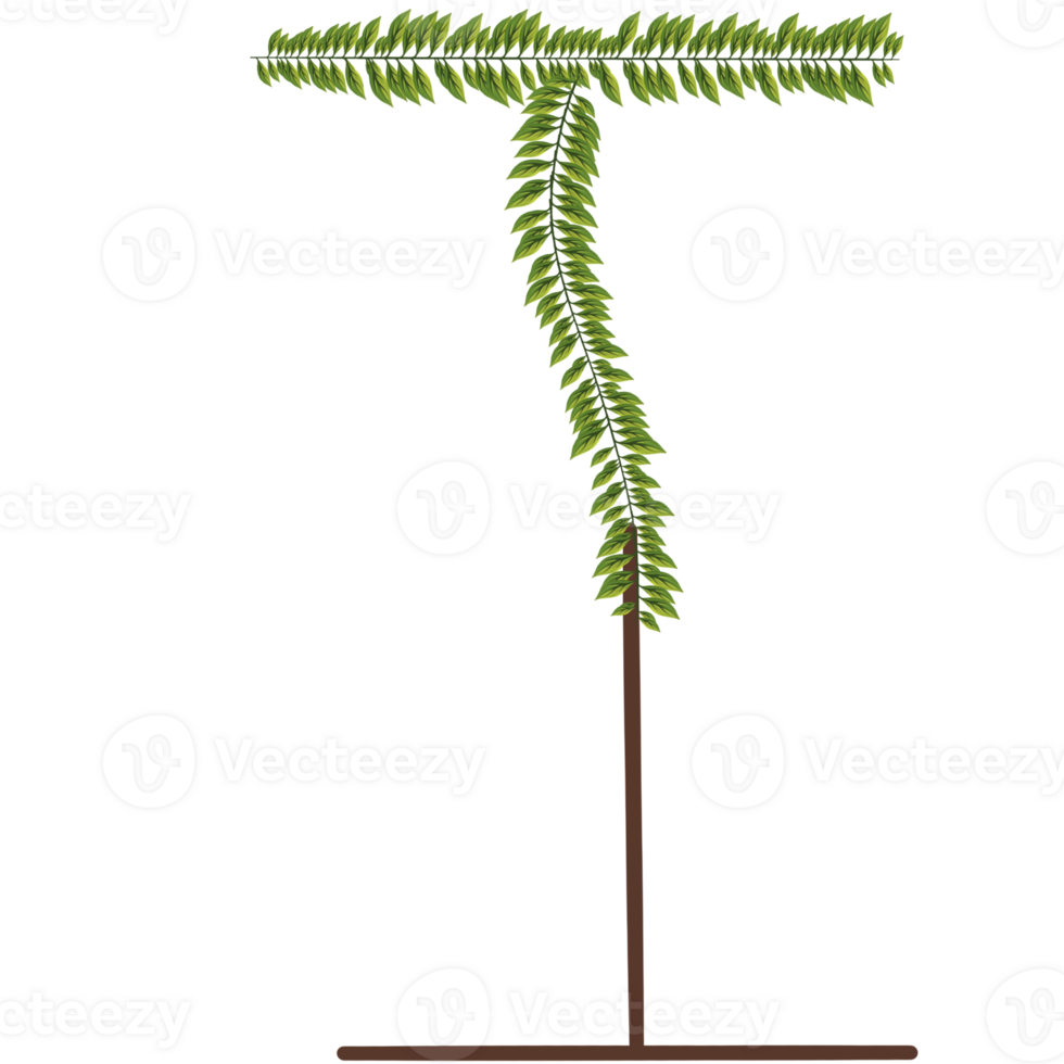 Alphabet a-z wrapped around fern leaves png