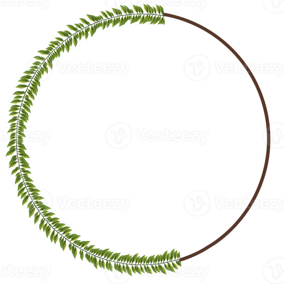 Alphabet a-z wrapped around fern leaves png