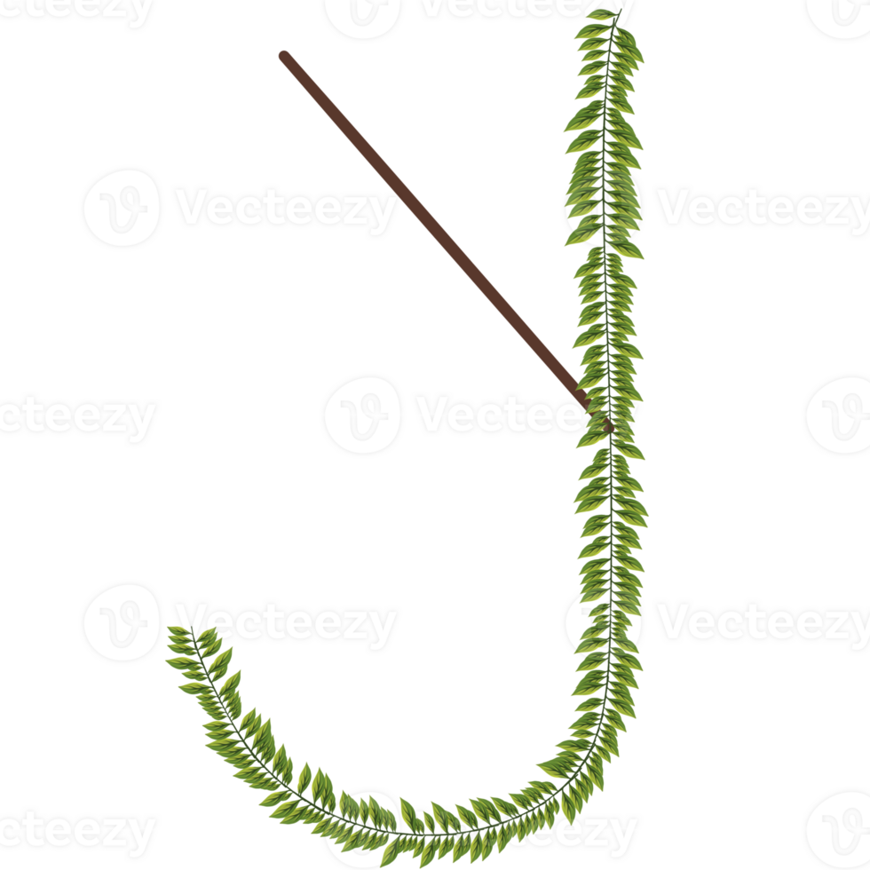 Alphabet a-z wrapped around fern leaves png