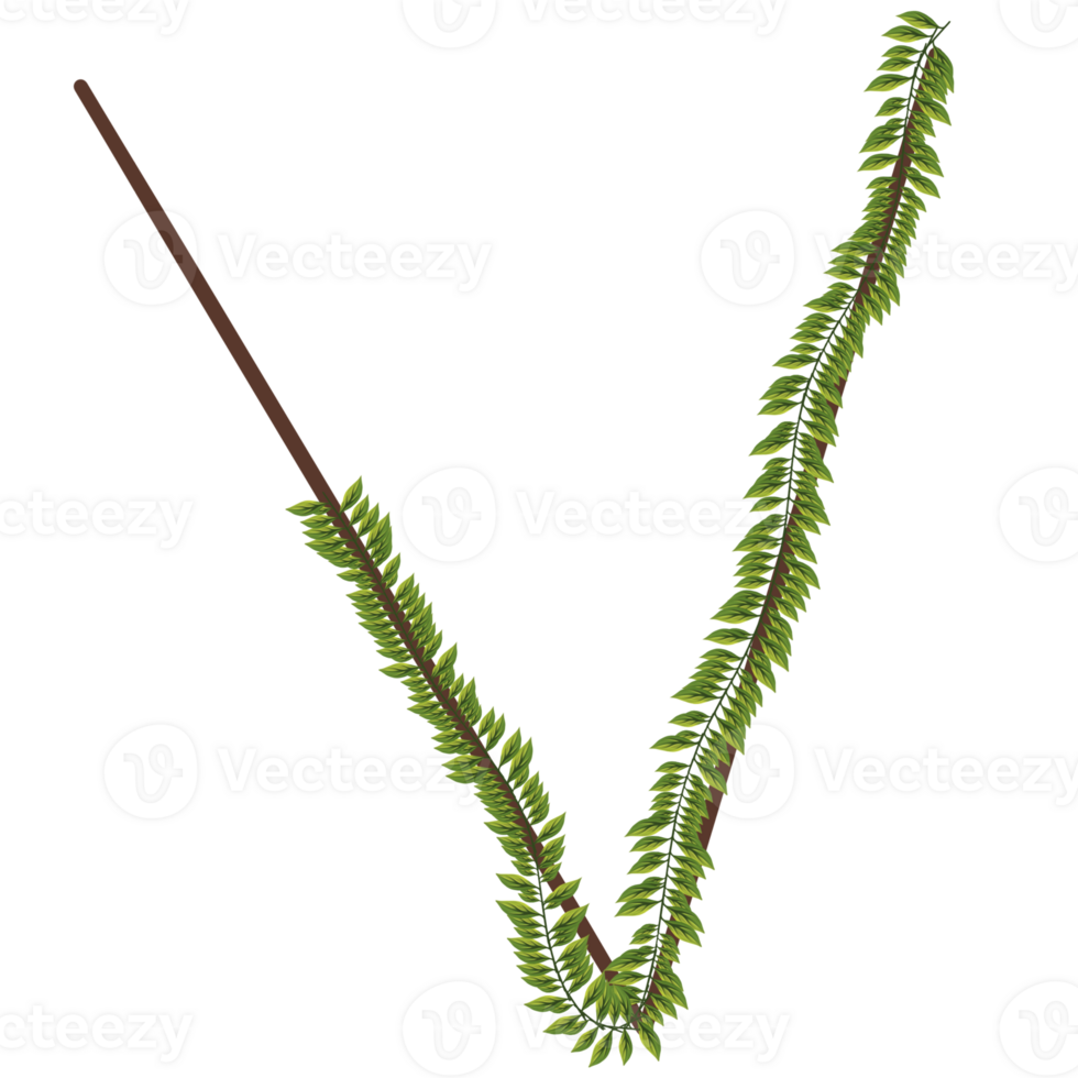 Alphabet a-z wrapped around fern leaves png