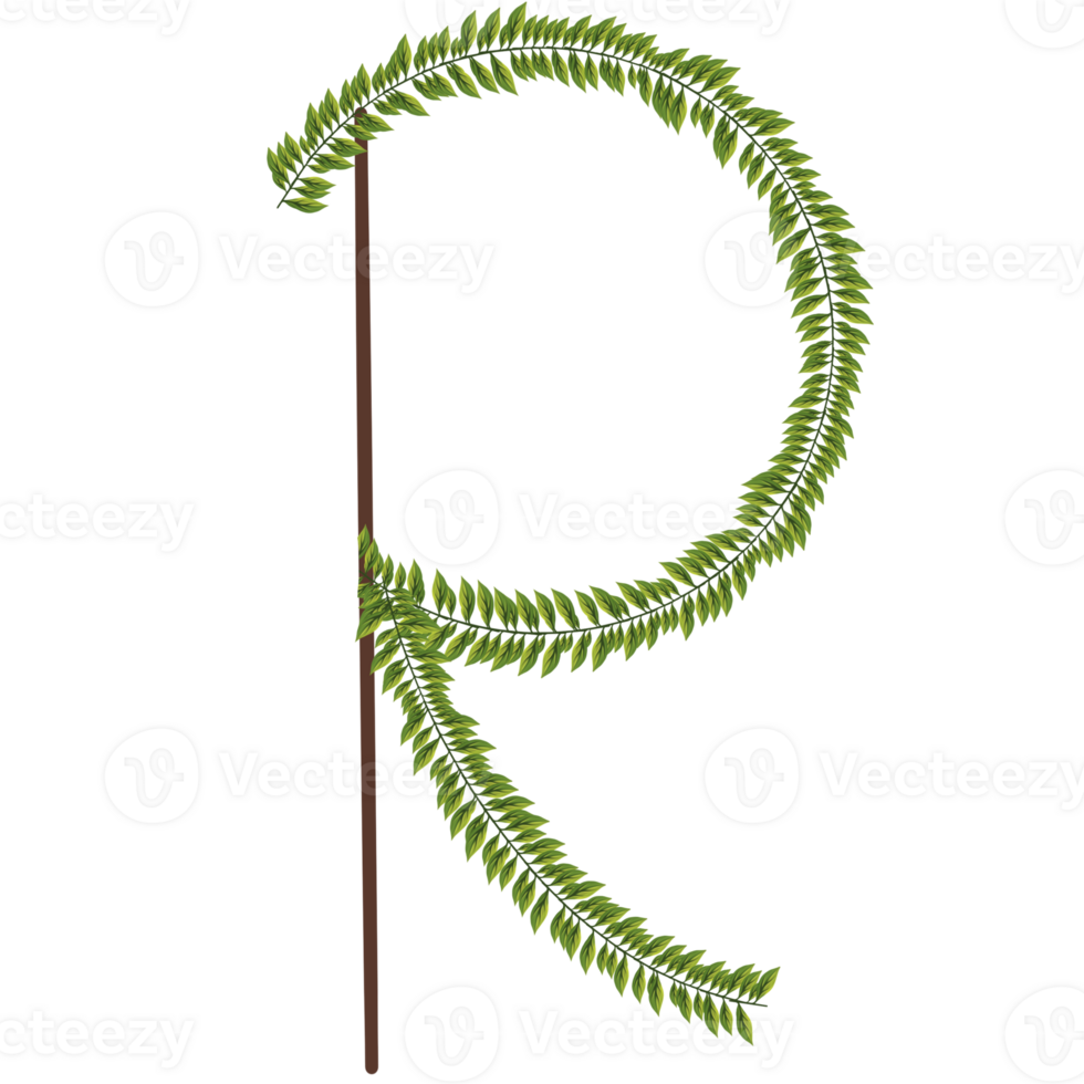 Alphabet a-z wrapped around fern leaves png