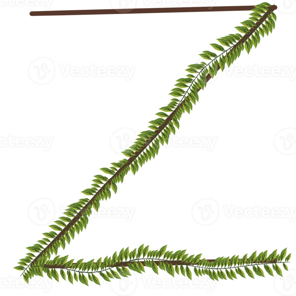 Alphabet a-z wrapped around fern leaves png