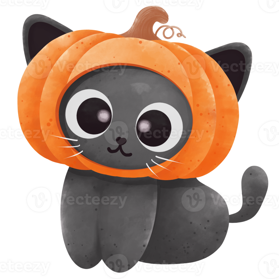 Halloween cat cartoon png