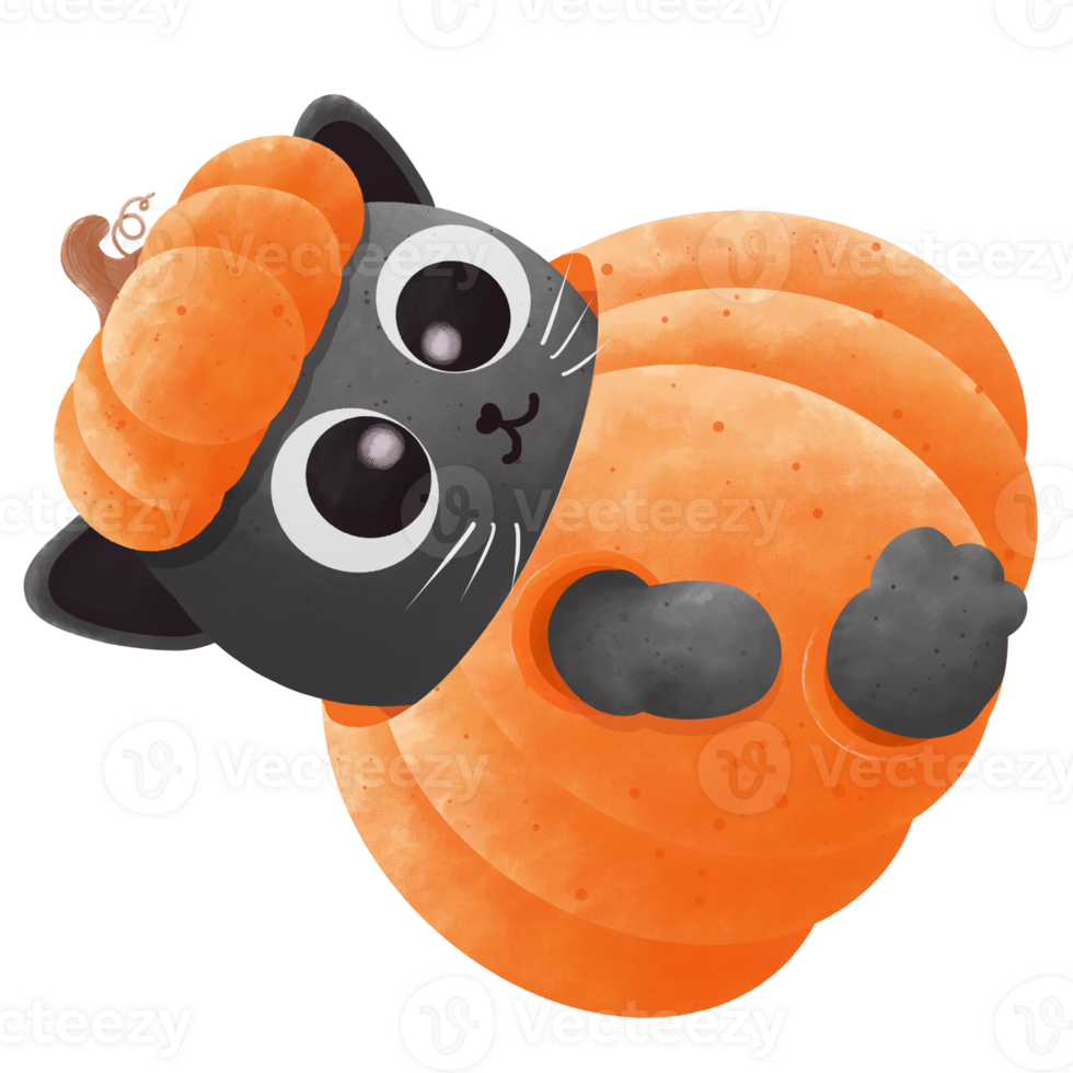 Halloween cat cartoon png
