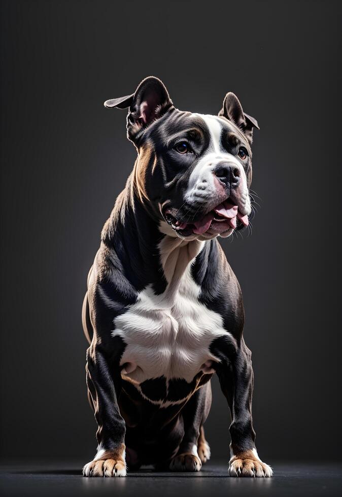 Ai generated Portrait shot of beautiful pit bull terrier photo