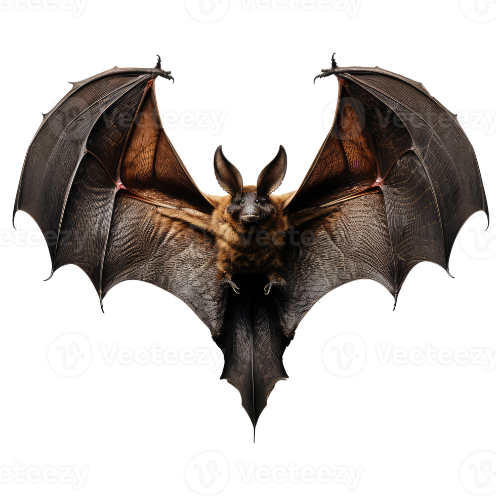 Bat isolated on transparent background . AI Generated png
