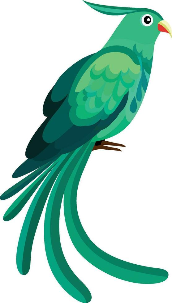 Green Quetzal bird flat style vector illustration isolated on white background , Pharomachrus mocinno bird stock vector image