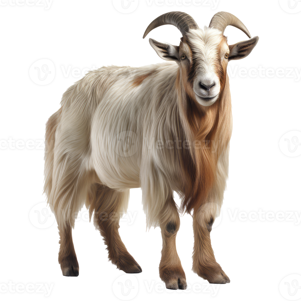 Goat isolated on transparent background . AI Generated png