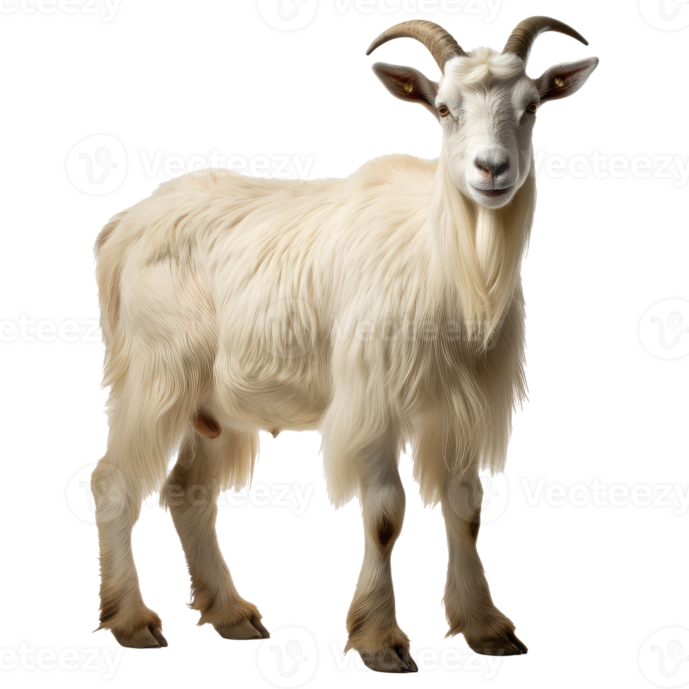 get isolerat på transparent bakgrund . ai genererad png