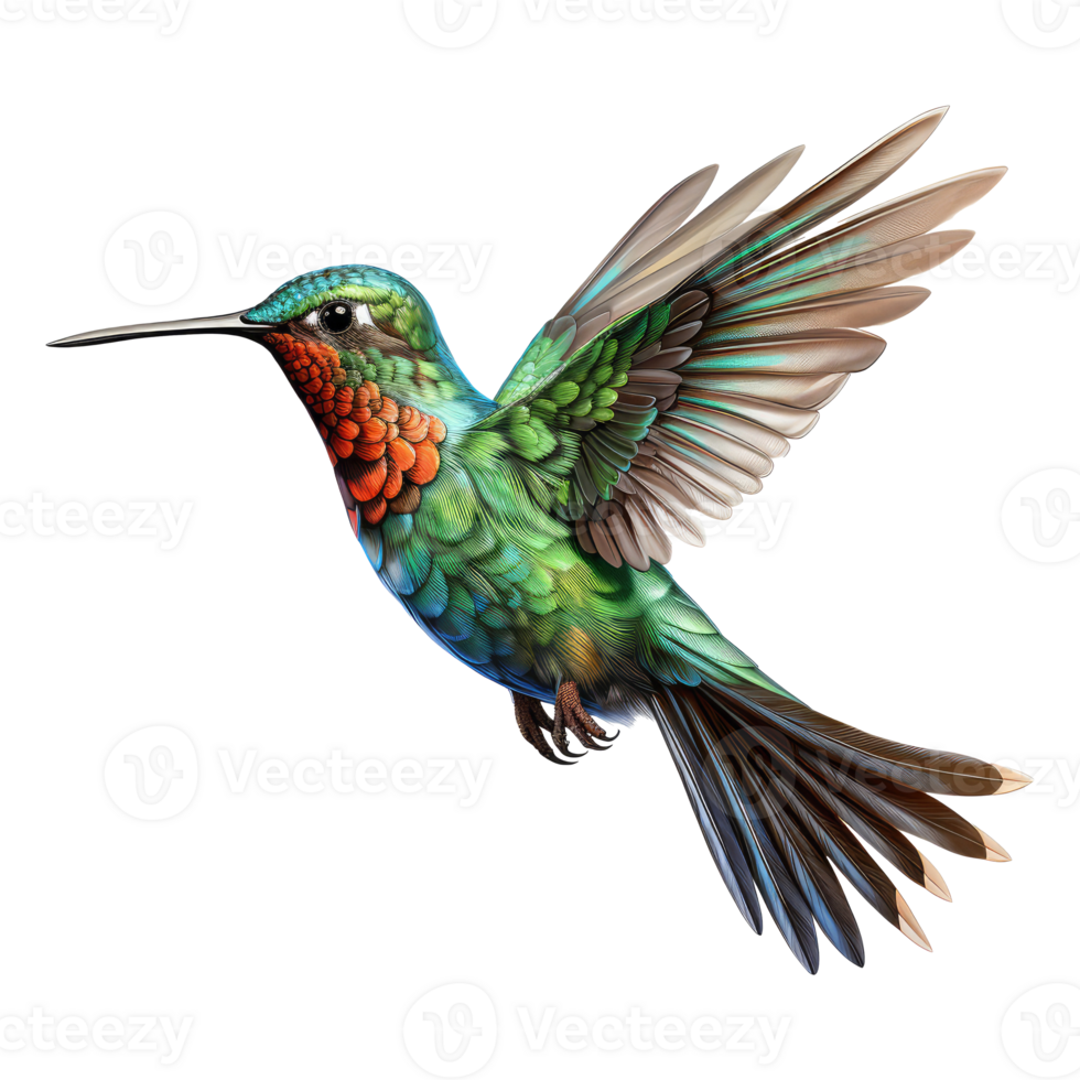 hummingbird isolated on transparent background . AI Generated png