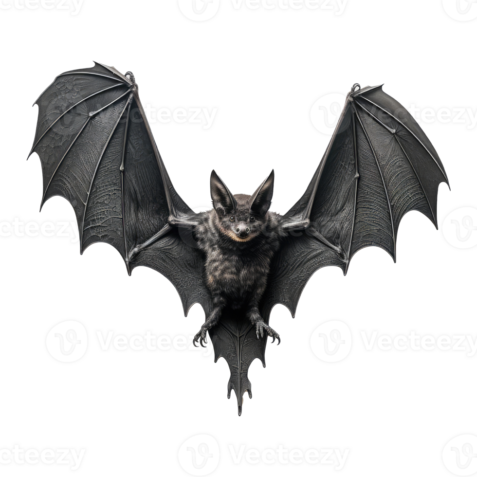 bat isolated on transparent background . AI Generated png