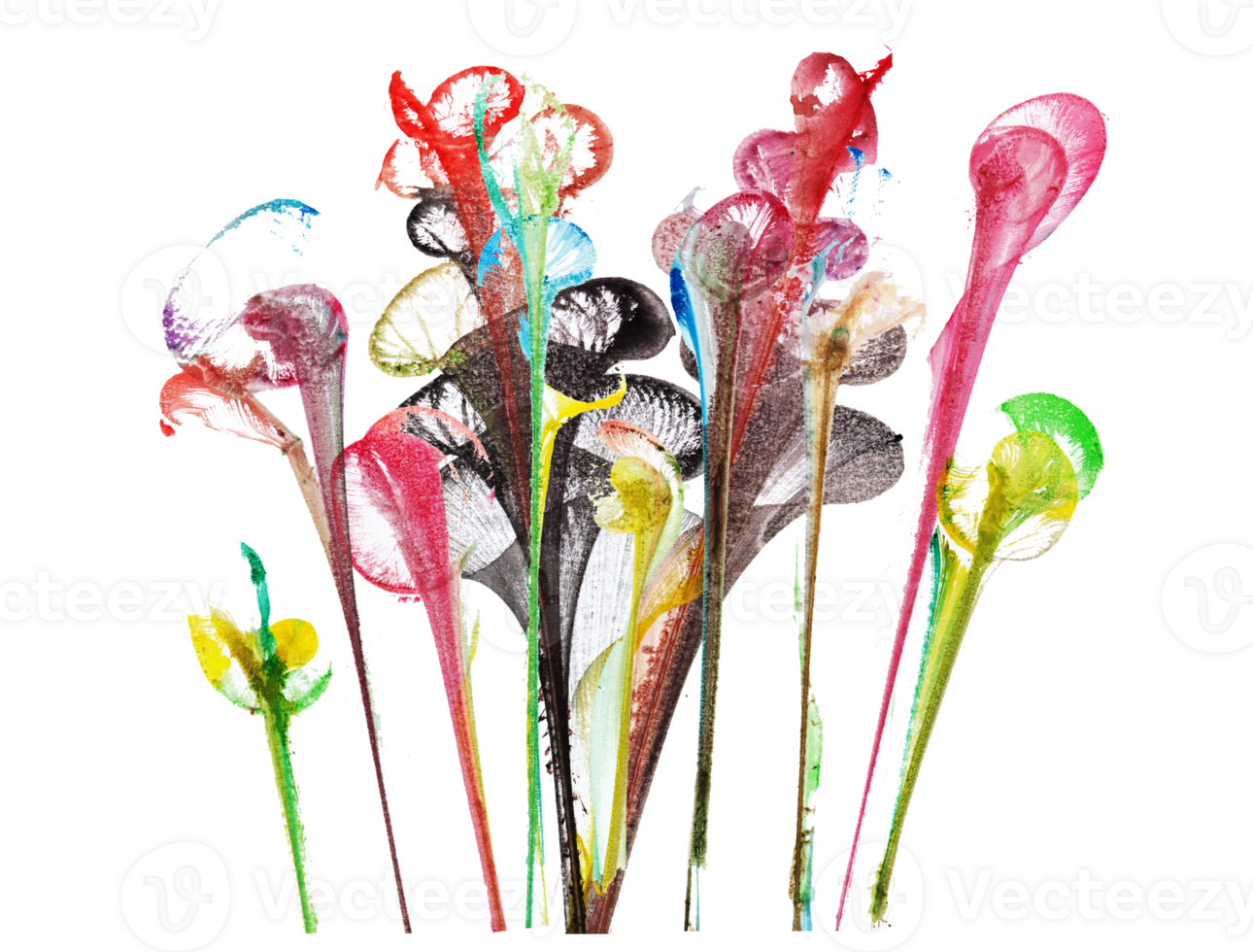 Abstract flowers .Hand watercolor painting and make graphic vector. png