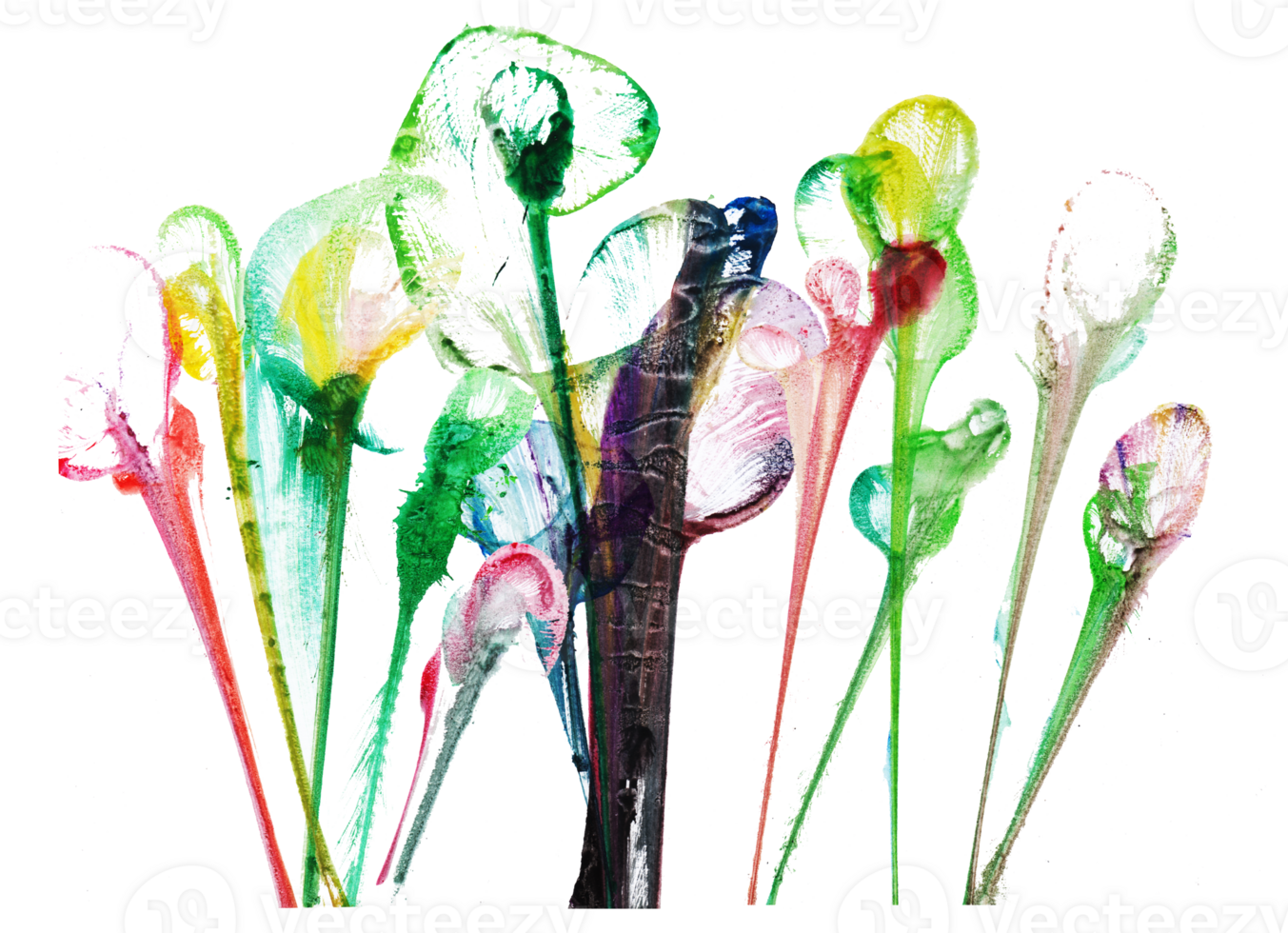 Abstract flowers .Hand watercolor painting and make graphic vector. png