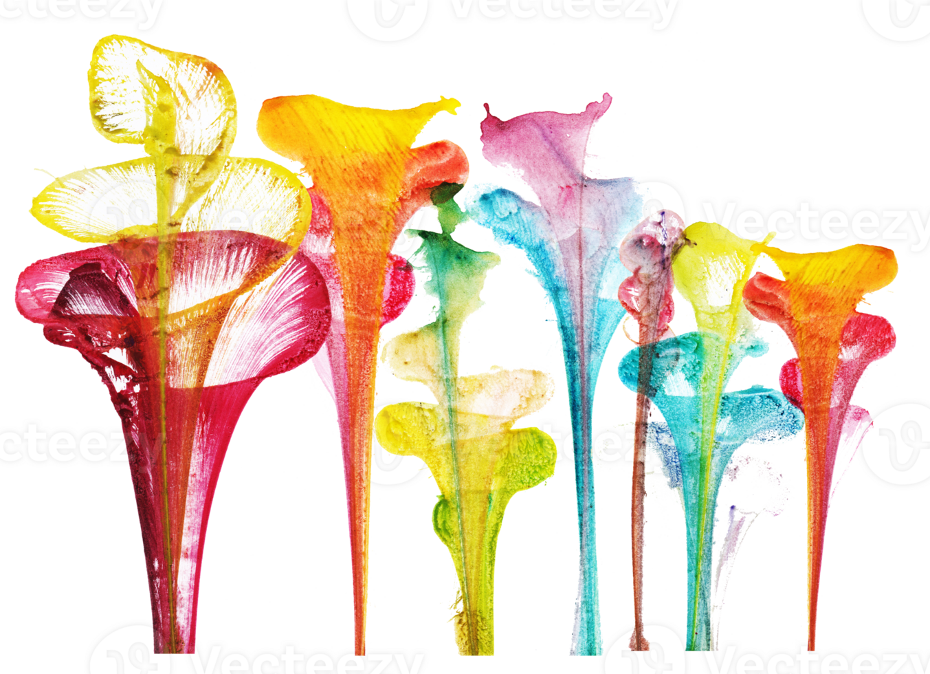 Abstract flowers .Hand watercolor painting and make graphic vector. png