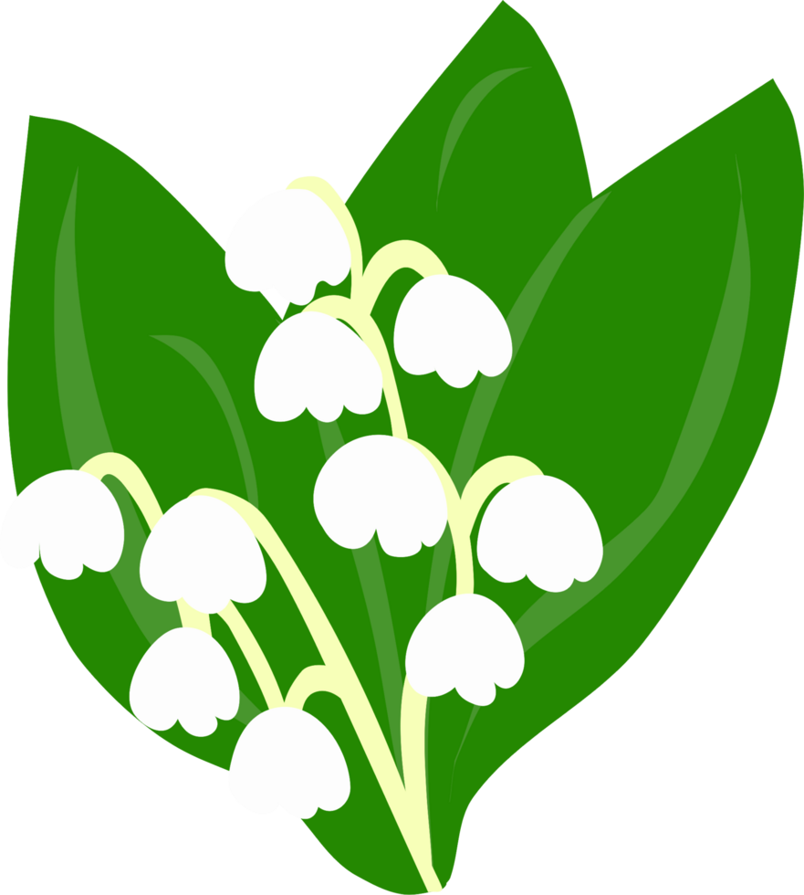 lily of the valley png