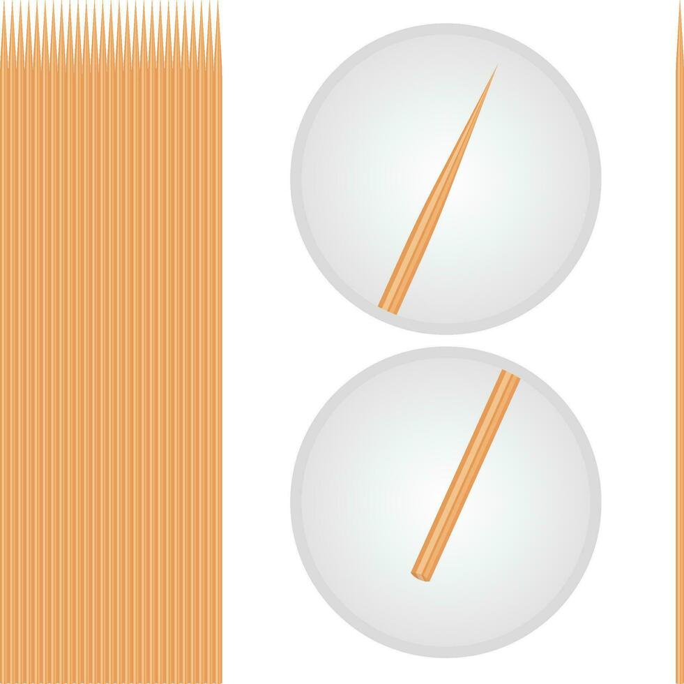 Set of BBQ sticks stock vector illustration, wooden BBQ sticks, bbq stick end and tip close up, stock vector image